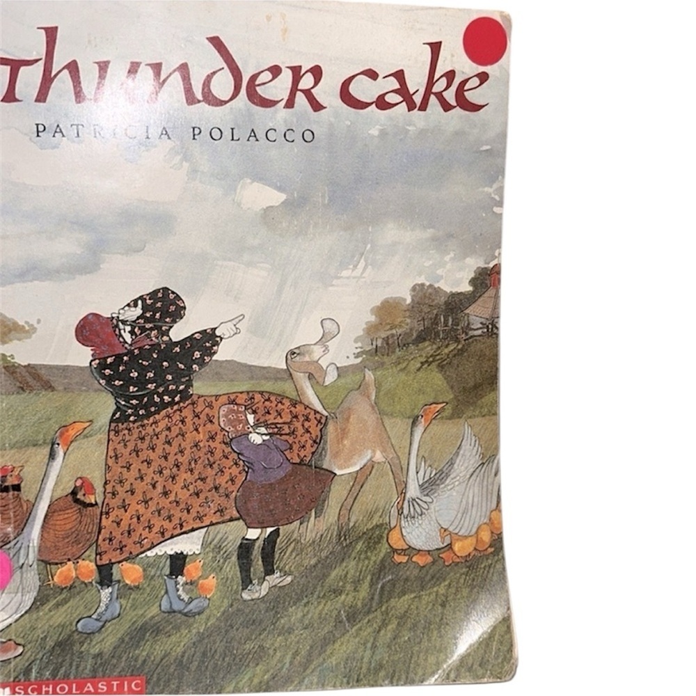 Thundercake kids book